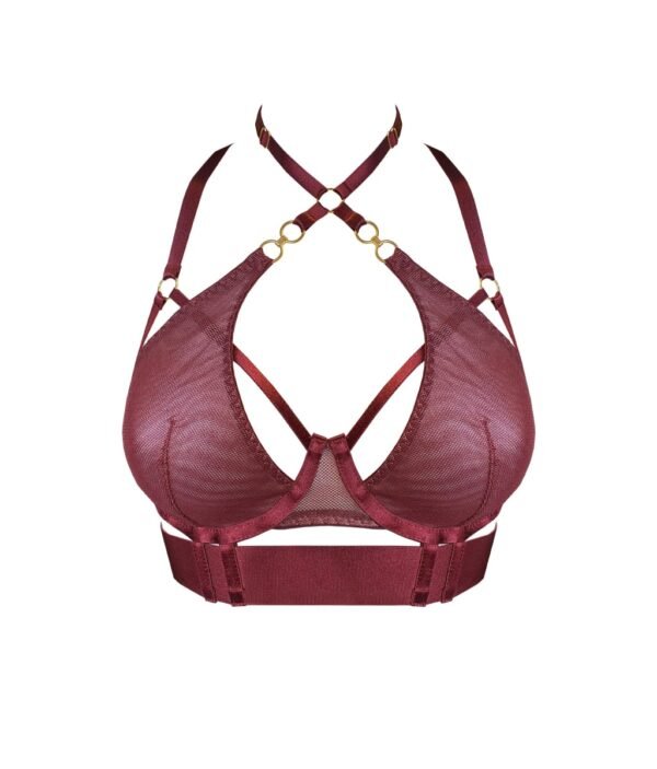 Bodice bra